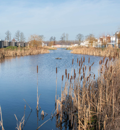 Vijverfolie op vakantiepark, Nijkerk