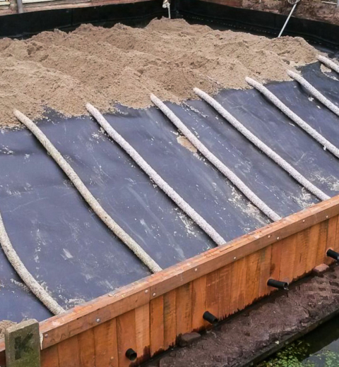 Bestrijding van de duizendknoop, Wageningen