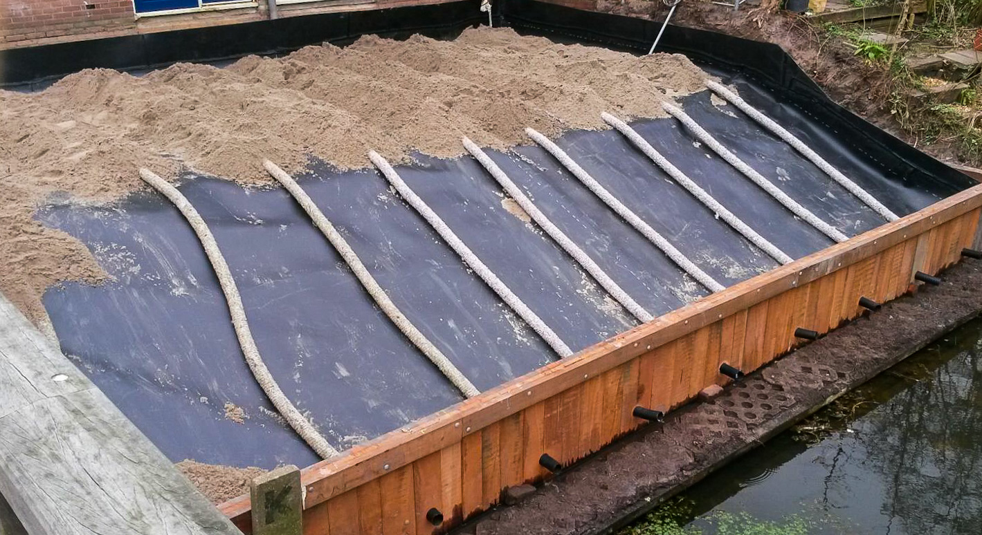 Lutte contre la renouée du Japon à Wageningen (Pays-Bas)