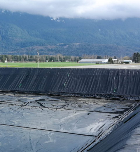 Wateropslag bij een plantenkwekerij, Canada