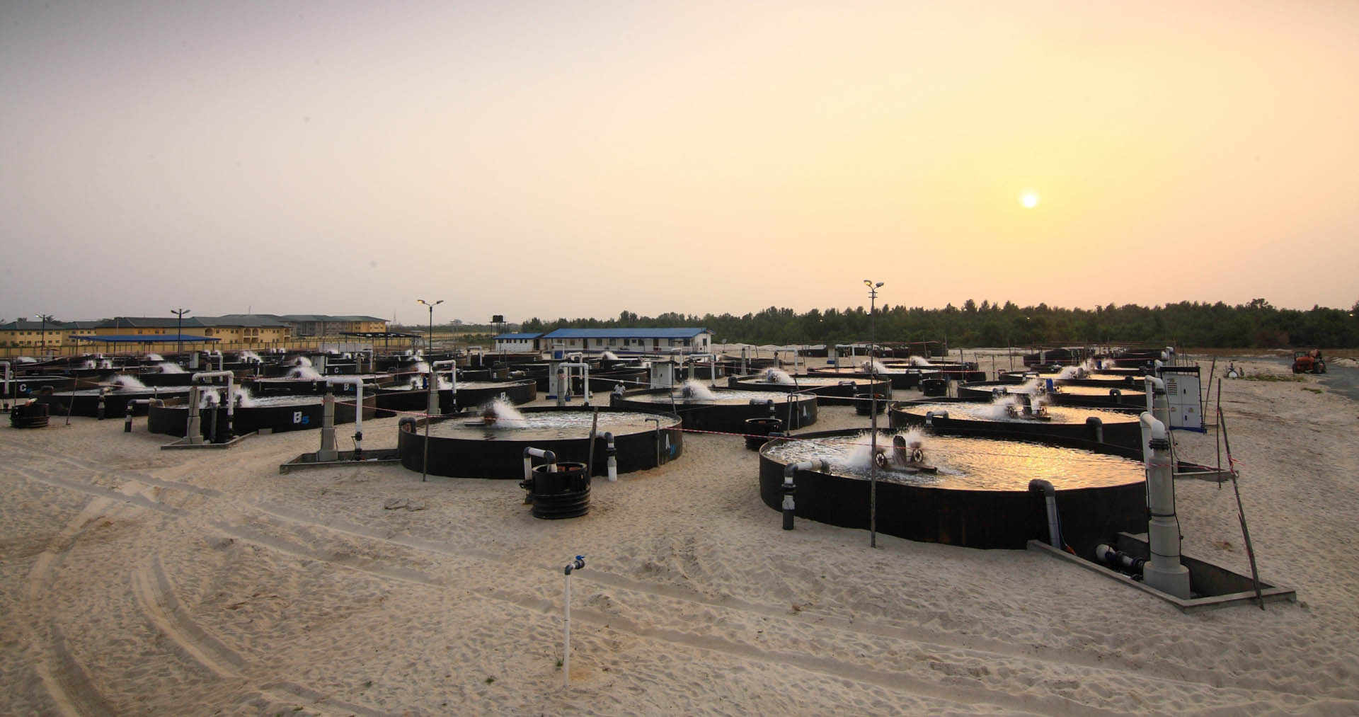 Fish farming, Nigeria