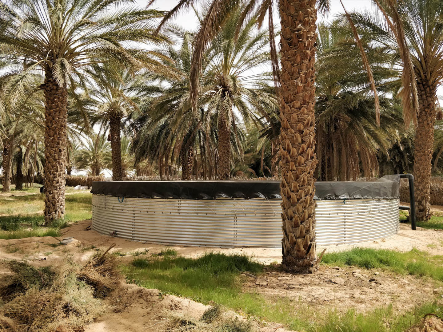 Almacenamiento de agua en cultivos de dátiles, Túnez