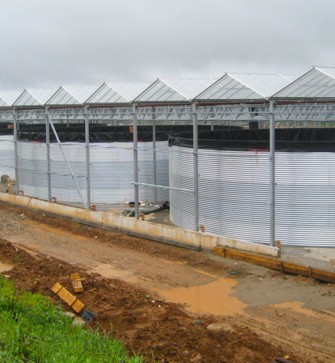 Vier tanks bij een kassencomplex, Rusland