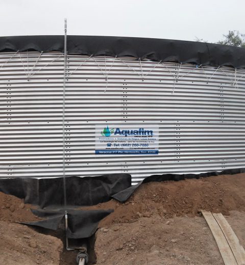 Water for a pecan orchard, Mexico