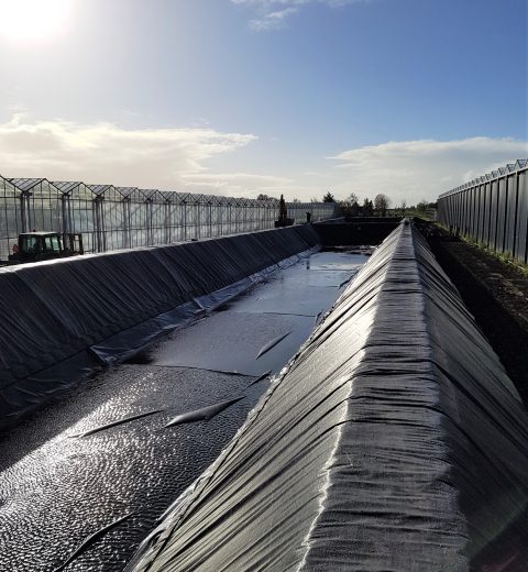 Two water basins at a bulb farm, the Netherlands