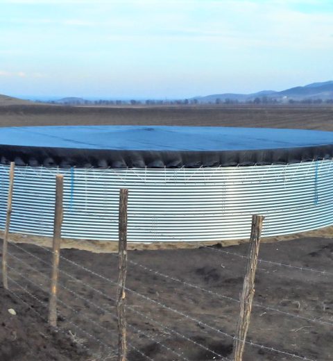 Water storage for apple vinyards, Georgia