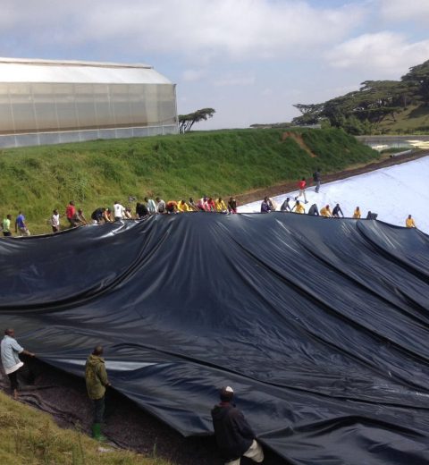Excavated basins at breeding company, Tanzania