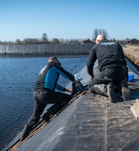 Excavated basins for blueberry growers, the Netherlands