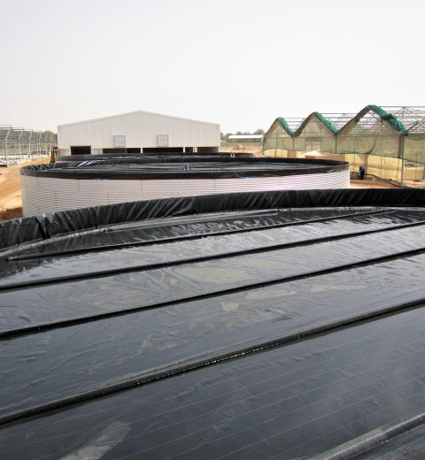 Six tanks for a brandnew greenhouse complex, Saudi Arabia