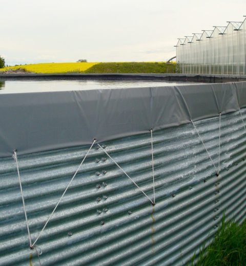 The downfall of the eyelet